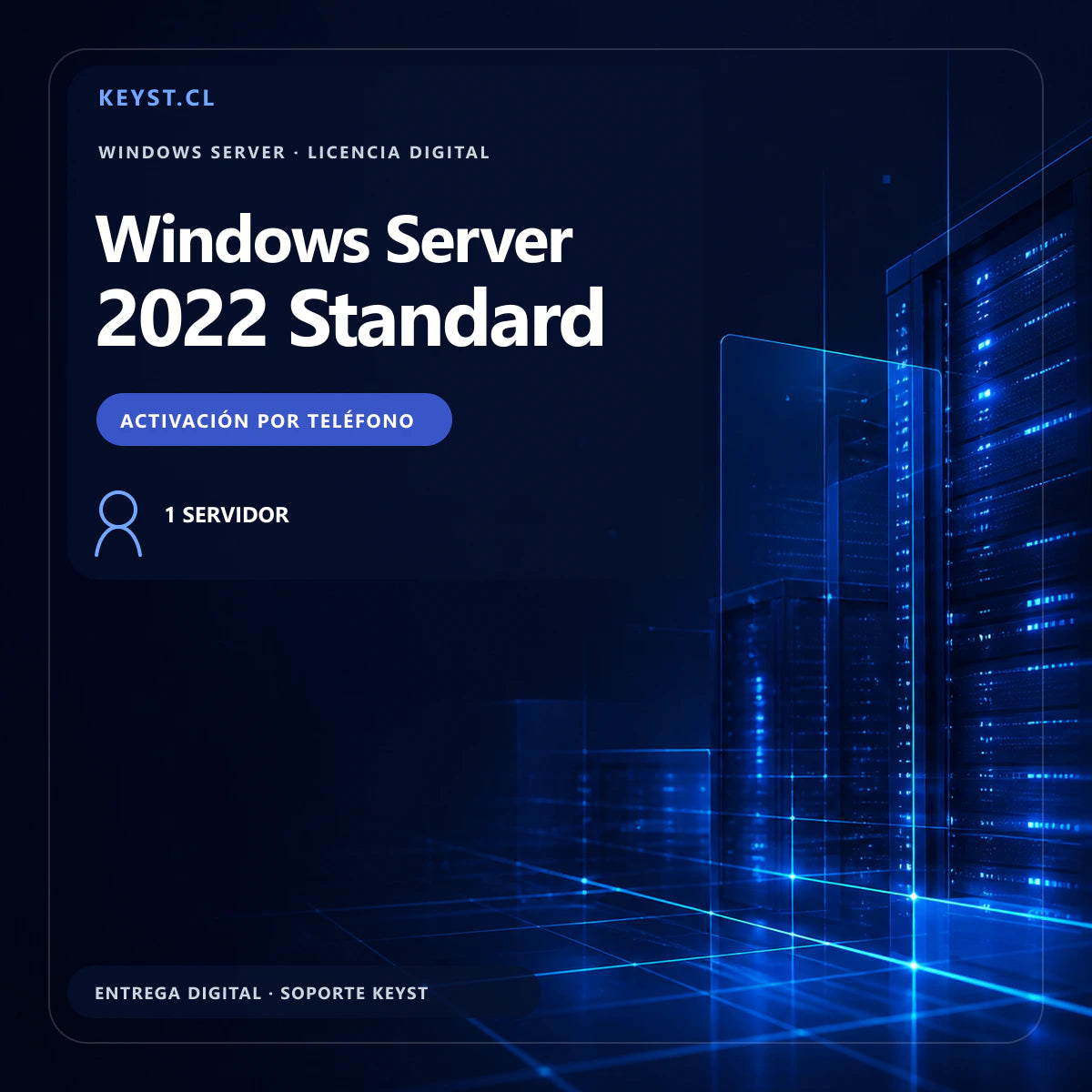 Windows Server 2022 Standard licencia digital con activación telefónica
